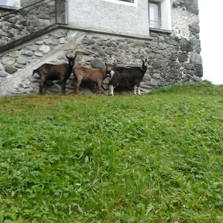 Panoramablick
